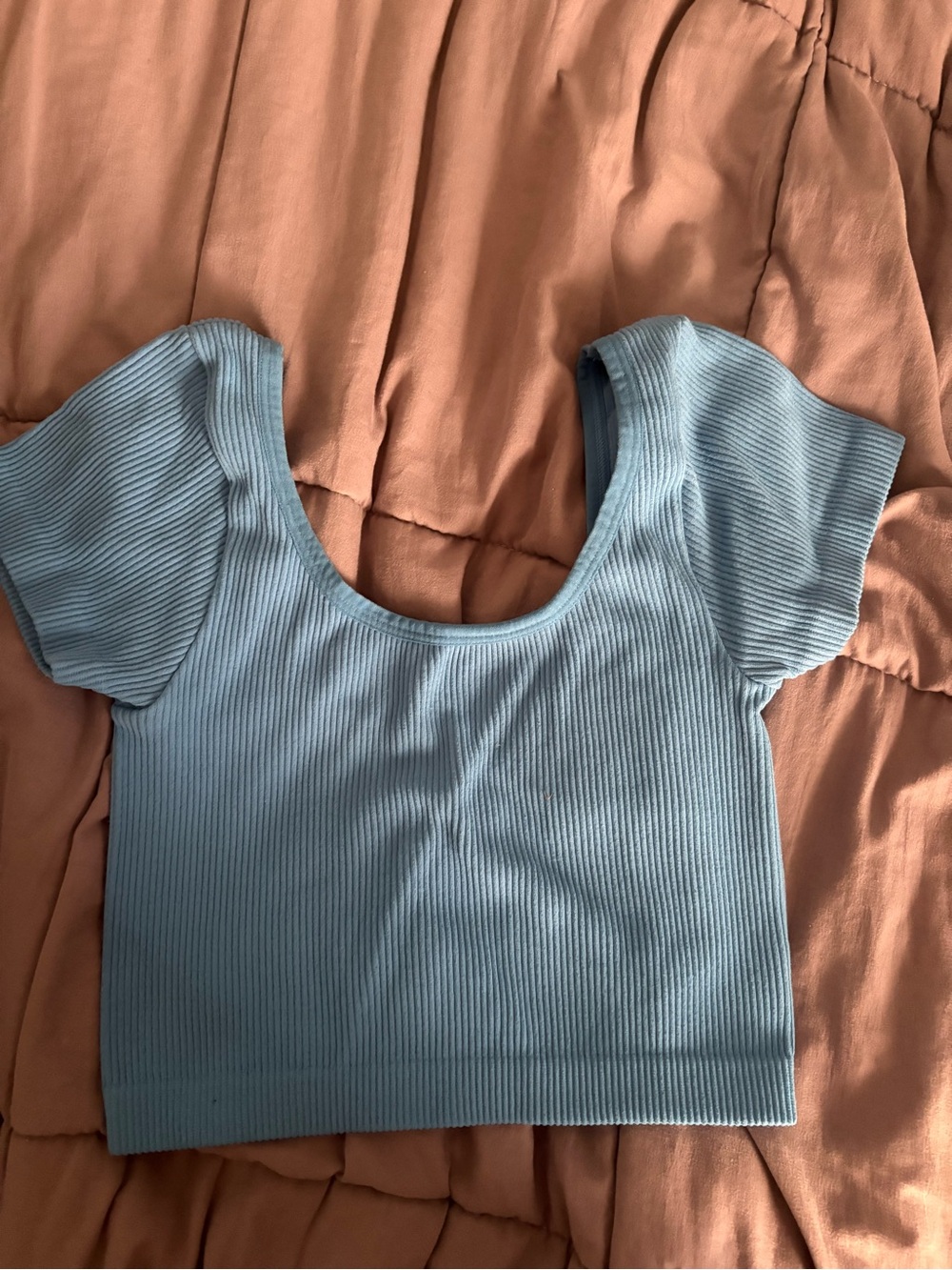 American Eagle Outfitters Light Blue Ribbed Scoop Crop Top